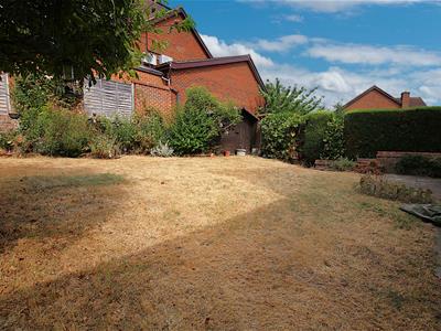 Picture 16